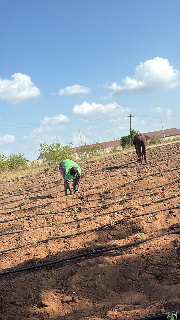 Sustainable Agriculture Initiative - Image 7